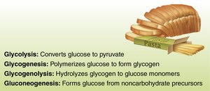 Quick summary of carbohydrate reactions