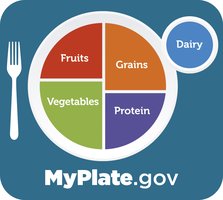 USDA MyPlate food guide