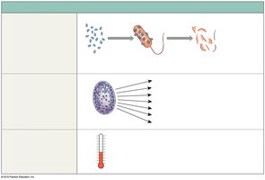 Complement system, inflammation, and fever in innate immunity