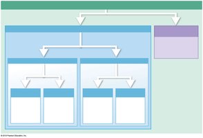 Forms of immunity: active and passive, natural and artificial