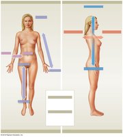 Directional References