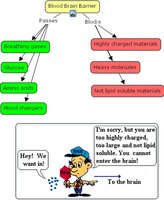 Diagram explaining what passes through the blood-brain barrier