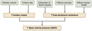 Major factors that increase mean arterial pressure (MAP)