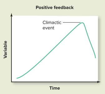 Negative feedback graph