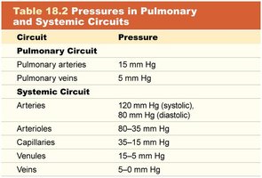 Table of pressures in pulmonary and systemic circuits