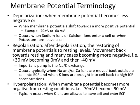 Membrane potential terminology and changes
