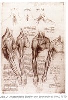Leonardo da Vinci's anatomical studies