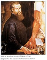 Portrait of Andreas Vesalius with anatomical model