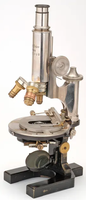 Early microscope used for histological analysis