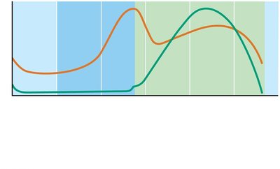 Ovarian hormone levels during the cycle