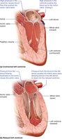 Pressure changes during cardiac cycle