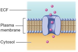 Ion channel types