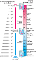 pH scale and examples of acidic and basic substances