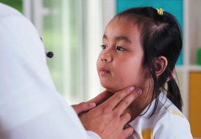 Lymphoid tissue histology