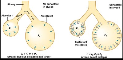 Airway resistance and pressure-volume curves
