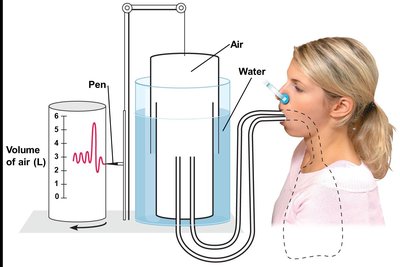 Spirometry and lung volumes