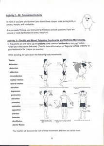Illustrations of body movements