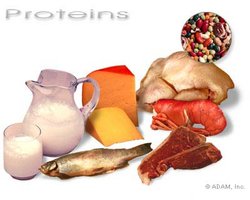Dietary sources of protein