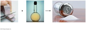 Properties of a compound differ from those of its atoms