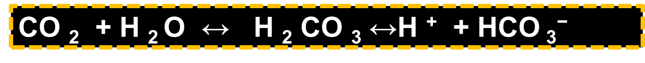 Carbonic acid–bicarbonate buffer system equation