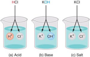 Acid, base, and salt dissociation in beakers