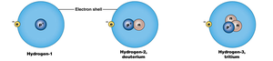 Hydrogen isotopes: protium, deuterium, tritium