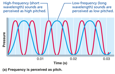 Frequency is perceived as pitch.