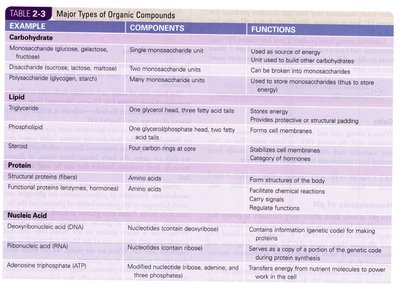 Major types of organic compounds