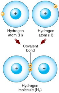 Covalent Bonding: Hydrogen molecule