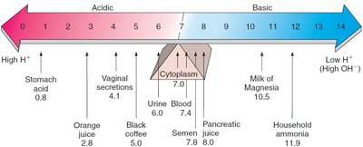 pH scale and examples