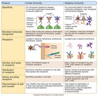 Comparison of innate and adaptive immunity