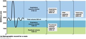 Spirographic record of respiratory volumes and capacities