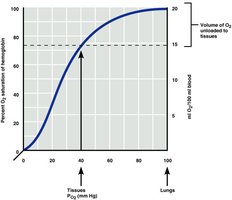Oxygen-hemoglobin dissociation curve