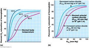 Factors influencing hemoglobin saturation