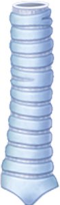 Trachea structure