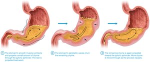 Process of churning in the stomach, peristaltic waves