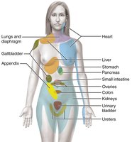 Map of referred pain