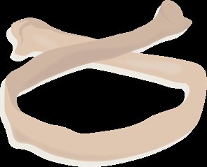 Bone treated with acid and enzyme