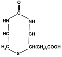 Molecular structure of biotin (B7)
