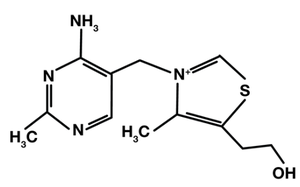 Molecular structure of thiamine (B1)