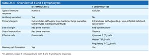 Table 21.4 Overview of B and T Lymphocytes
