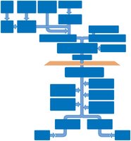 Schematic of systemic venous circulation