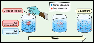 Diffusion of dye in water