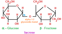 Carbohydrate classification