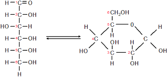 Polysaccharide structure