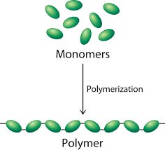 Dehydration synthesis diagram