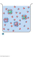 Hydration spheres around ions in water