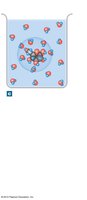 Hydration spheres around glucose molecules