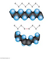 Saturated and unsaturated fatty acids