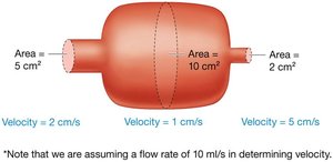 Relationship between area and velocity of blood flow